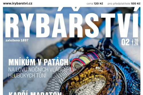 Snímek obrazovky 2026-02-09 112659.png